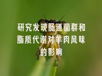 学术会议在线