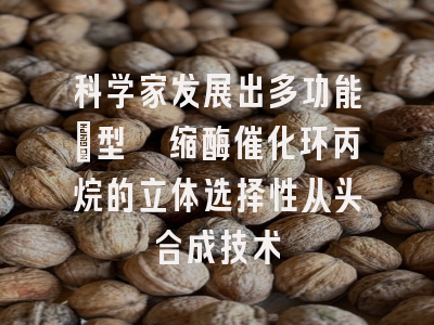 科学家发展出多功能Ⅰ型醛缩酶催化环丙烷的立体选择性从头合成技术