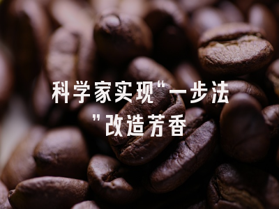 科学家实现“一步法”改造芳香胺