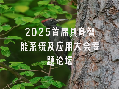 2025首届具身智能系统及应用大会专题论坛