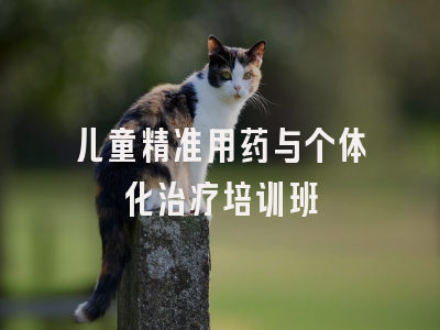 儿童精准用药与个体化治疗培训班