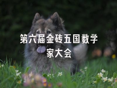 第六届金砖五国数学家大会