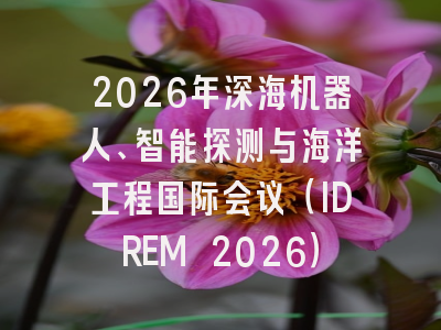 2026年深海机器人、智能探测与海洋工程国际会议（IDREM 2026）