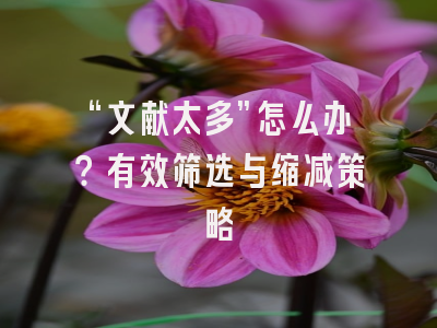 “文献太多”怎么办？有效筛选与缩减策略