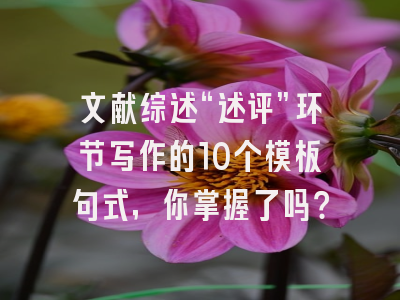 文献综述“述评”环节写作的10个模板句式，你掌握了吗？