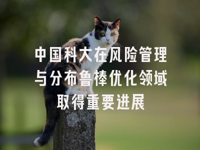 中国科大在风险管理与分布鲁棒优化领域取得重要进展