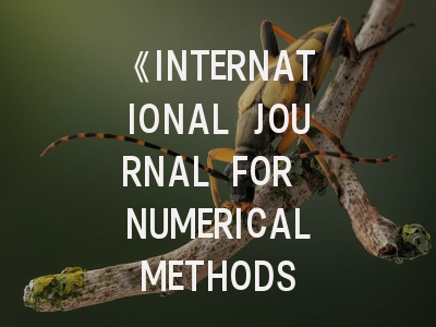 《INTERNATIONAL JOURNAL FOR NUMERICAL METHODS IN BIOMEDICAL ENGINEERING》期刊介绍与投稿策略