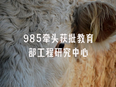 985牵头获批教育部工程研究中心