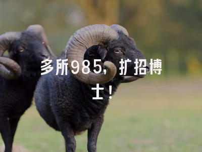 多所985，扩招博士！