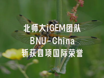 北师大iGEM团队BNU-China斩获四项国际荣誉