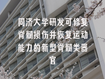 同济大学研发可修复脊髓损伤并恢复运动能力的新型脊髓类器官