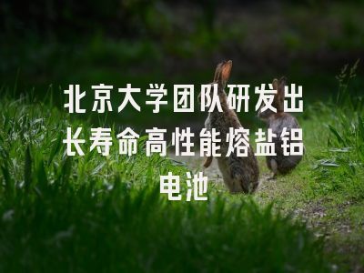 北京大学团队研发出长寿命高性能熔盐铝电池