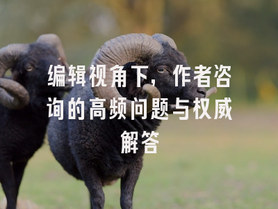 编辑视角下，作者咨询的高频问题与权威解答