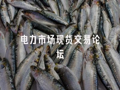 电力市场现货交易论坛