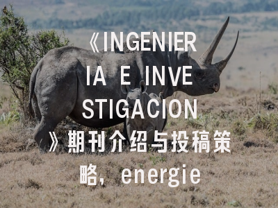《INGENIERIA E INVESTIGACION》期刊介绍与投稿策略,energies专刊