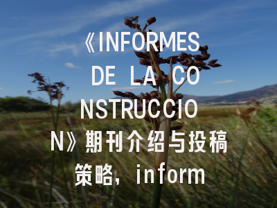 《INFORMES DE LA CONSTRUCCION》期刊介绍与投稿策略,informed conscience