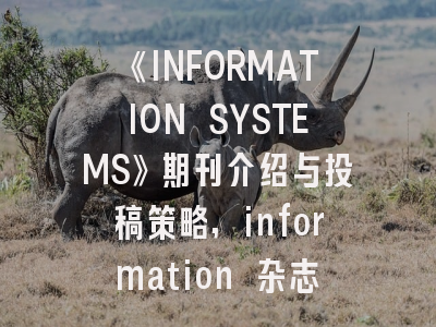 《INFORMATION SYSTEMS》期刊介绍与投稿策略,information 杂志