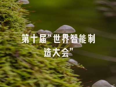 第十届“世界智能制造大会”