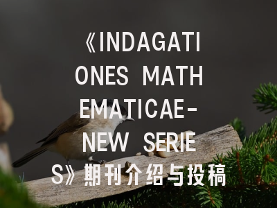 《INDAGATIONES MATHEMATICAE-NEW SERIES》期刊介绍与投稿策略,advance in mathematics 审稿周期
