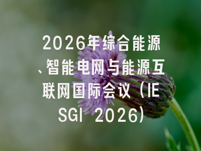 2026年综合能源、智能电网与能源互联网国际会议（IESGI 2026）