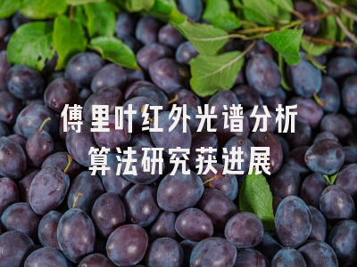 傅里叶红外光谱分析算法研究获进展