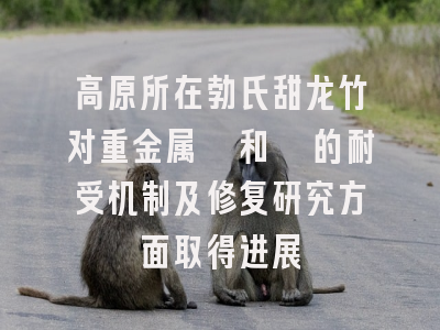 高原所在勃氏甜龙竹对重金属镉和铬的耐受机制及修复研究方面取得进展