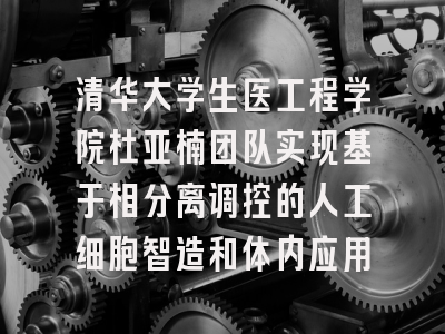 清华大学生医工程学院杜亚楠团队实现基于相分离调控的人工细胞智造和体内应用