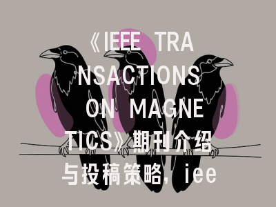 《IEEE TRANSACTIONS ON MAGNETICS》期刊介绍与投稿策略