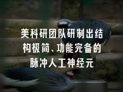 美科研团队研制出结构极简、功能完备的脉冲人工神经元