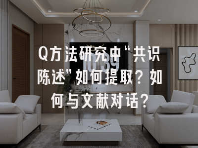 Q方法研究中“共识陈述”如何提取？如何与文献对话？