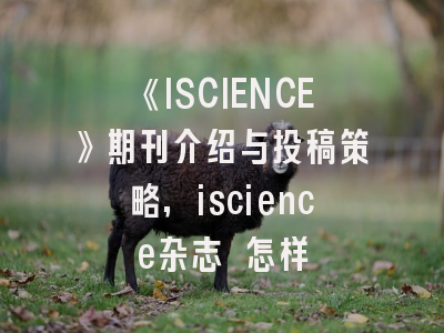 《ISCIENCE》期刊介绍与投稿策略,iscience杂志 怎样