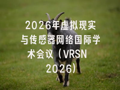 2026年虚拟现实与传感器网络国际学术会议(VRSN 2026)