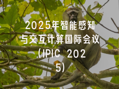 2025年智能感知与交互计算国际会议(IPIC 2025)
