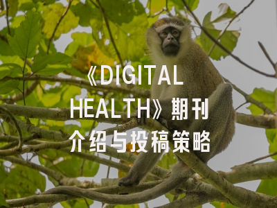 《DIGITAL HEALTH》期刊介绍与投稿策略