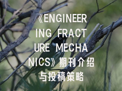 《ENGINEERING FRACTURE MECHANICS》期刊介绍与投稿策略