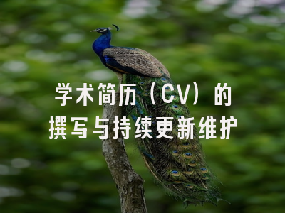学术简历（CV）的撰写与持续更新维护