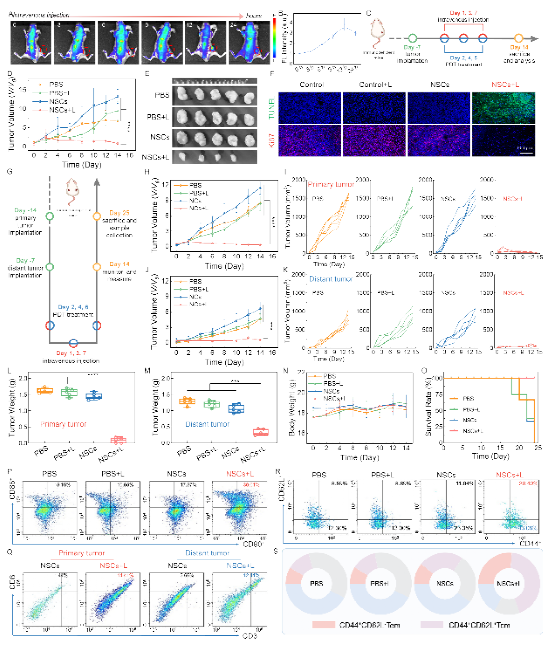 西安交大科研团队在光诊疗纳米晶体材料领域取得新进展