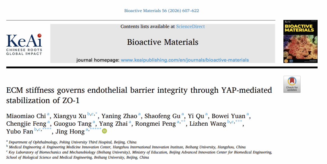 北京大学北大第三医院眼科洪晶/彭荣梅研究团队开发全球首个生物可降解角膜内皮替代物并揭示角膜内皮屏障新机制