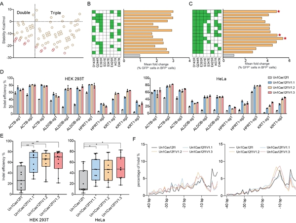 西北农林科技大学(755)羊遗传改良与生物育种团队在小型化CRISPR工具开发方面取得新突破