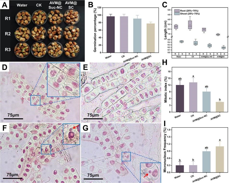 中国农业大学理学院化学系杜凤沛教授团队在纳米农药土壤扩散行为调控方面取得新进展