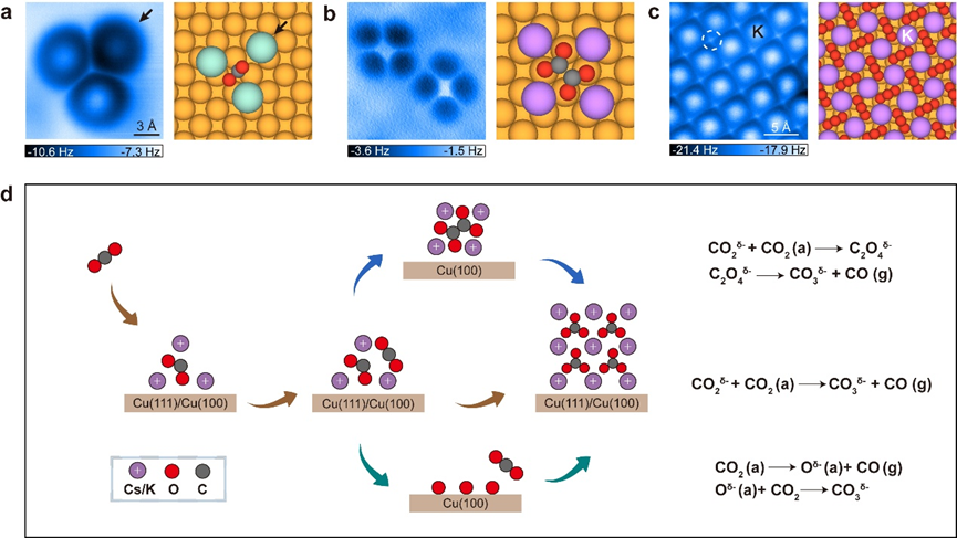 北京师范大学化学学院郭静课题组在Nature Communications发表研究成果：碱金属聚集配位效应促进二氧化碳分子高效活化和转化