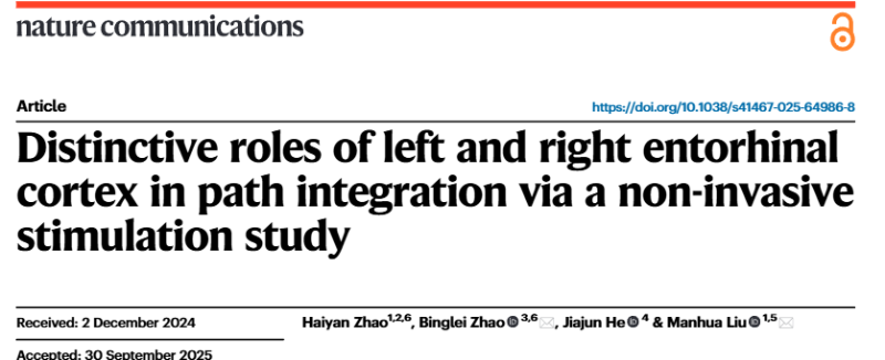 上海交大赵冰蕾/刘满华团队揭示左右内嗅皮质在路径整合的功能分工