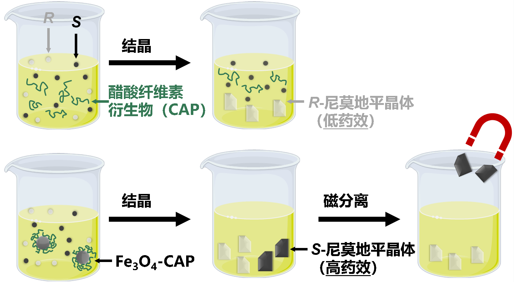 北京大学化学与分子工程学院宛新华/张洁团队研发磁性纳米拆分剂，突破天然高分子固有手性局限