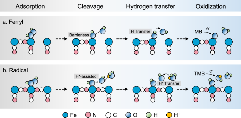 东南大学张宇团队在《自然通讯》上发表纳米酶催化机制调控最新研究成果