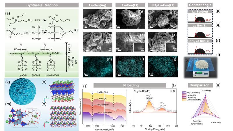 上海交大王欣泽团队WR发文揭示内亥姆霍兹平面质子浓度梯度驱动磷酸盐高效选择性去除