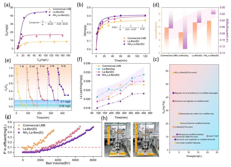 上海交大王欣泽团队WR发文揭示内亥姆霍兹平面质子浓度梯度驱动磷酸盐高效选择性去除