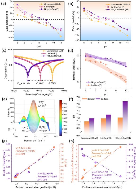 上海交大王欣泽团队WR发文揭示内亥姆霍兹平面质子浓度梯度驱动磷酸盐高效选择性去除
