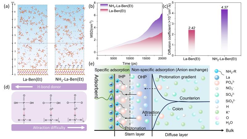 上海交大王欣泽团队WR发文揭示内亥姆霍兹平面质子浓度梯度驱动磷酸盐高效选择性去除