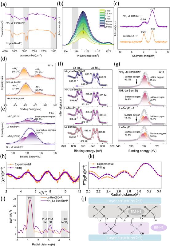 上海交大王欣泽团队WR发文揭示内亥姆霍兹平面质子浓度梯度驱动磷酸盐高效选择性去除