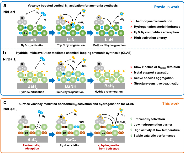 上海交大叶天南团队利用C2缺陷实现氮气水平吸附活化与高效合成氨